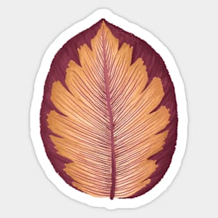 Calathea Corona Leaf Sticker